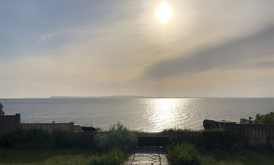 Udsigt fra stuen